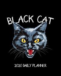 When you dream about black cats it is because there is a fear or a regret that grips you. Black Cat 2020 Daily Planner Crazy Cat Vintage Design One Year 365 Day Full Page A Day Schedule At A Glance 1 Yr Weekly Monthly Overview Social Life 8x10 Full Page A Day Planner Press New Nomads 9781082171710 Amazon Com Books