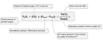 alveolar gas equation