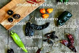 12 Essential Chili Peppers For Mexican Cooking Pocket