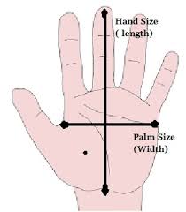 Average Hand Size Pata Sauti