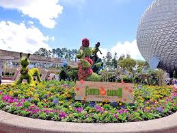 Epcot Flower Garden Most Colorful