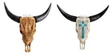 what-does-the-cow-skull-symbolize-in-the-native-american-culture