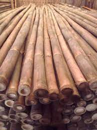 Harga material tiang pancang jakarta terbagi dua, yaitu : Jual Bambu Steger Tiang Cor Umbul Umbul Gombong Konstruksi Dan Taman 752767529