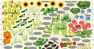 use this companion planting chart to