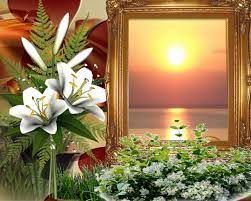 Our goal is to help people build meaningful relationships. Imikimi Zo Picture Frames Frame Nature Beautifulflowerslovescenerybirthdays Emily50