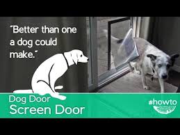 How To Make A Screen Door Doggy Door