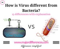 15 Differences Between Bacteria And Virus Major Differences