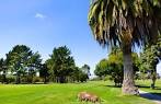 Rancho Maria Golf Club in Santa Maria, California, USA | GolfPass
