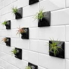 Wall Planter 3 X Small Air Plant Holder