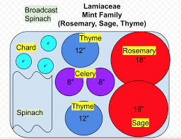 Vegetable Garden Planner Template