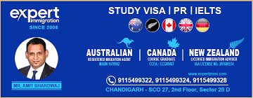 All members of family must have separate eta. Best 10 Immigration Consultants In Chandigarh With Fee Countries