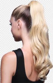 About 7% of these are human hair ponytails, 9% are human hair extension, and 1% are synthetic hair ponytails. Ponytail Trump Hair Hair Scissors Girl Hair Black Hair White Hair 852747 Free Icon Library