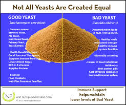 yeast infection