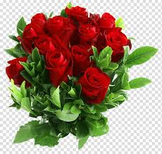 free flower bouquet rose red