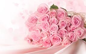 pink roses background wallpaper high