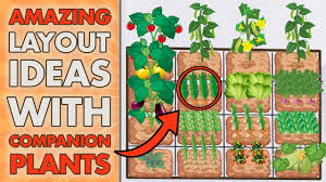 5 square foot gardening layout ideas