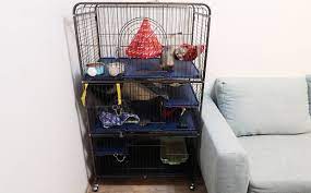 Setting Up A Ferret Cage Full Guide
