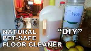 pet safe floor cleaner diy natural