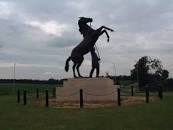 Image result for UK Horseracing New Hastings Centre Newmarket Facility for training racehorses