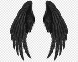 ink wings sticker png