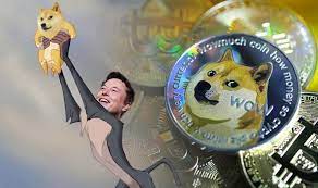 A decentralized cryptocurrency is not supposed to have a ceo. Elon S Dogecoin Ultimatum Revue