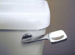 Image result for lever toilet flush