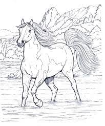 Disegno stilizzato bambina con cavallo : Disegno Stilizzato Bambina Con Cavallo Coloring And Drawing