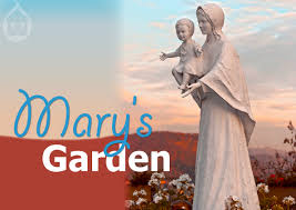Mary S Garden