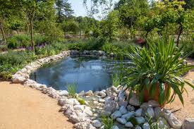 garden ponds natural pools and