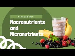 micronutrients meal prep on fleek