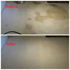 photos of dirty carpet before and after