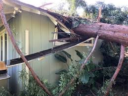Fallen Tree Crushes Menlo Park Home