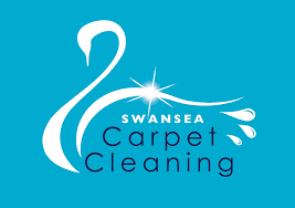 swansea carpet cleaning professional
