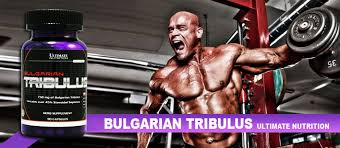 ultimate bulgarian tribulus 90 капс