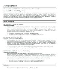 Sample Resume Finance Manager Car Dealership For Financial Planning