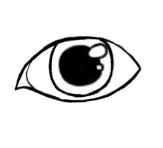 Eyes are the window to the soul and so many things can be said using only a quick look. How To Draw A Cartoon Eye Female Feltmagnet