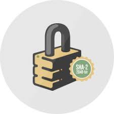 Ssl Find The Ssl Certificate You Need To Secure Your Site