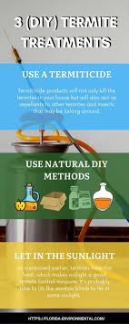 super effective diy termite treatment