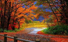 Autumn Scenery Wallpapers - Top Free ...
