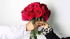 happy rose day 2024 top 50 wishes