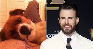 What do they all mean? Avengers Chris Evans Sets Hearts Racing With Close Up Of Chest Tattoo Metro News
