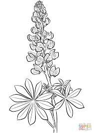 236x258 bluebonnet step pixels embroidery. Lupine Coloring Page From Lupin Category Select From 27390 Printable Crafts Of Cartoons Nature Ani Flower Coloring Pages Flower Line Drawings Lupine Flowers