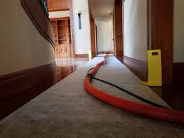 carpet cleaner or house cleaner