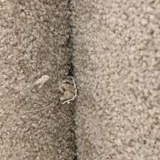richmark carpet linoleum closed