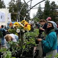 ucce master gardeners of santa clara