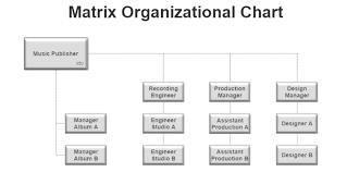 Matrix Organizational Chart Example Business