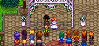 stardew valley the best mods for robin
