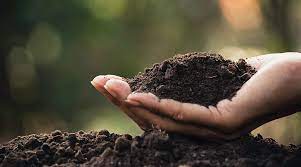 Basic Tips For Improving Garden Soil