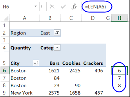 duplicate items appear in pivot table