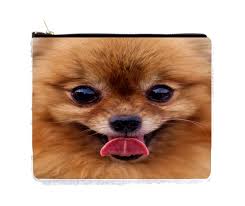 pomeranian puppy lick double sided 6